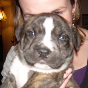 Meet your Posher, Caitlyn